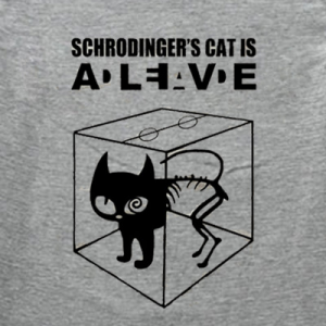 Schrodingers cat