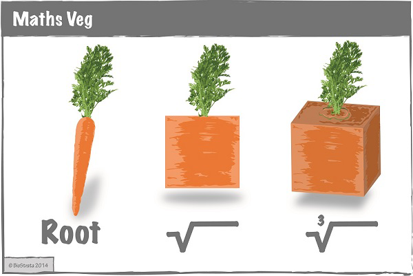 Maths-veg