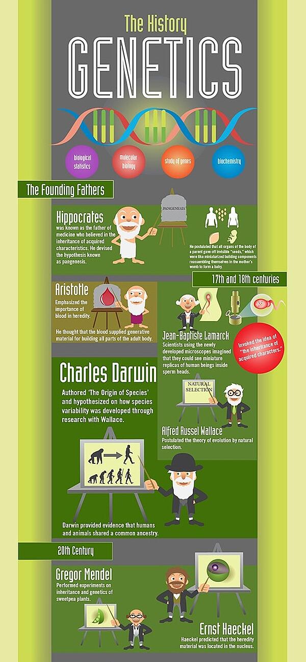 History of genetics