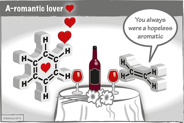 Aromantic lover