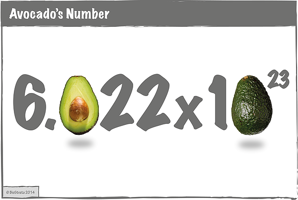 Avocado's number