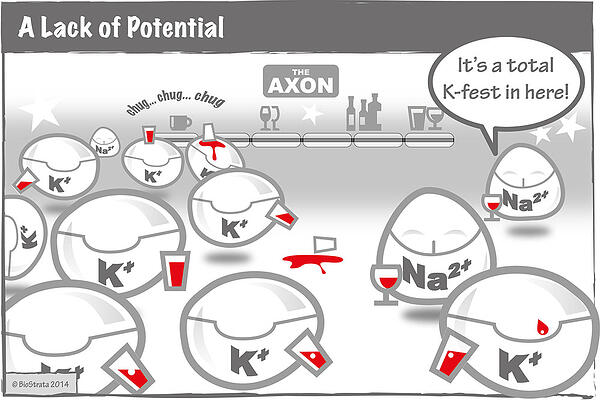 Lack of potential
